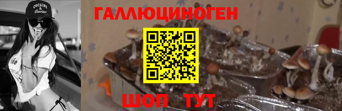 Усинск  Псилоцибиновые грибы MAGIC MUSHROOMS  Псилоцибиновые грибы GOLDEN TEACHER  Вход с VPN 